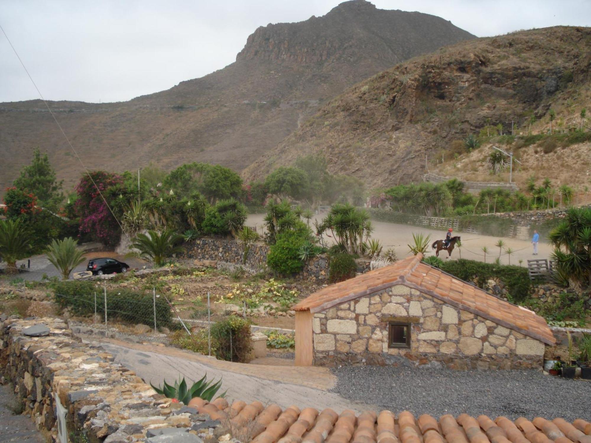 Gospodarstwo wiejskie Vera De La Hoya San Miguel de Abona